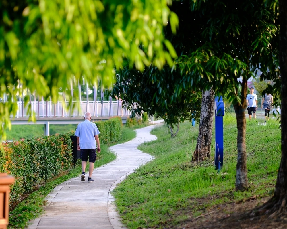 An older man taking an easy walk along a tree-lined park path.